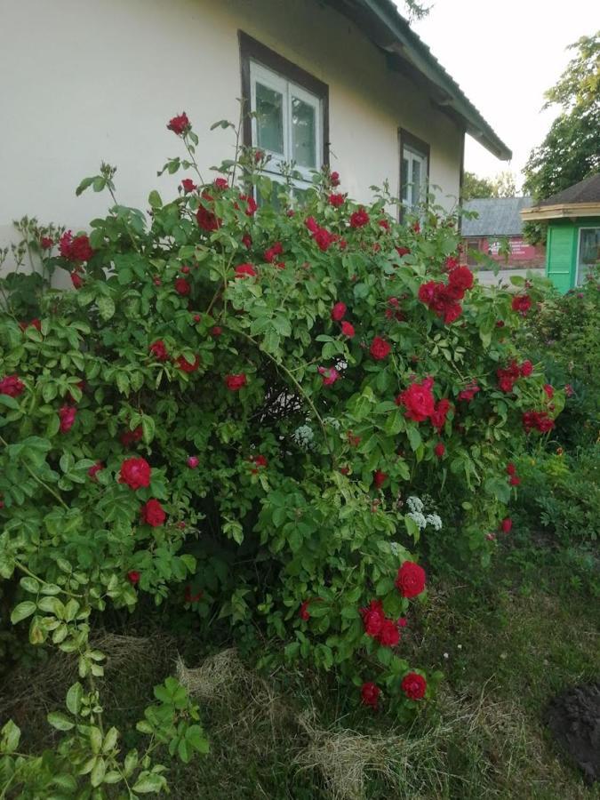 Kica Kroga Apartaments Айнажи Экстерьер фото